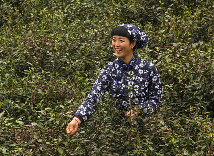 主播跳舞 影视6